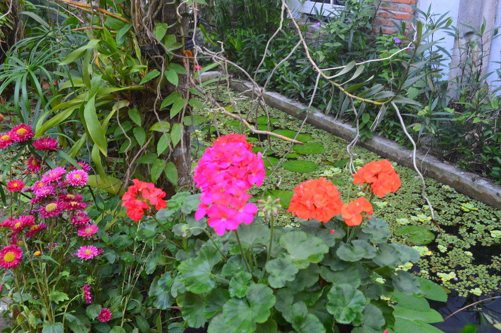 The Hoi An Orchid Garden Villas Exterior foto