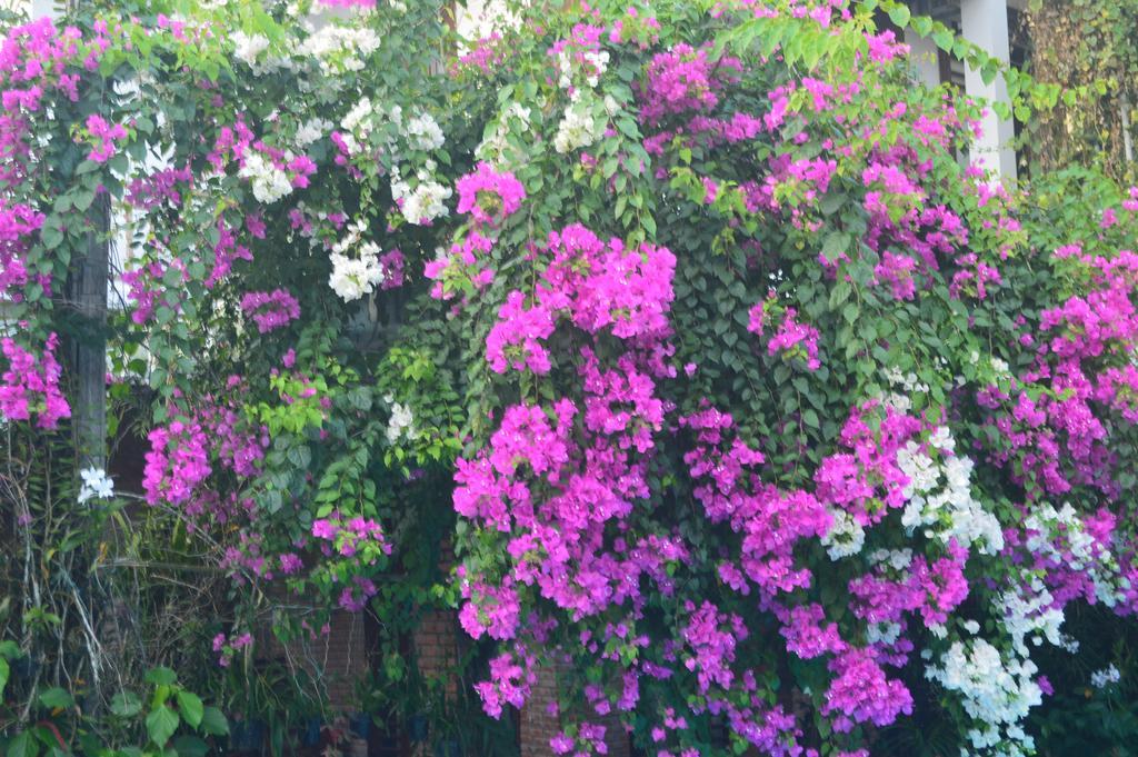 The Hoi An Orchid Garden Villas Exterior foto