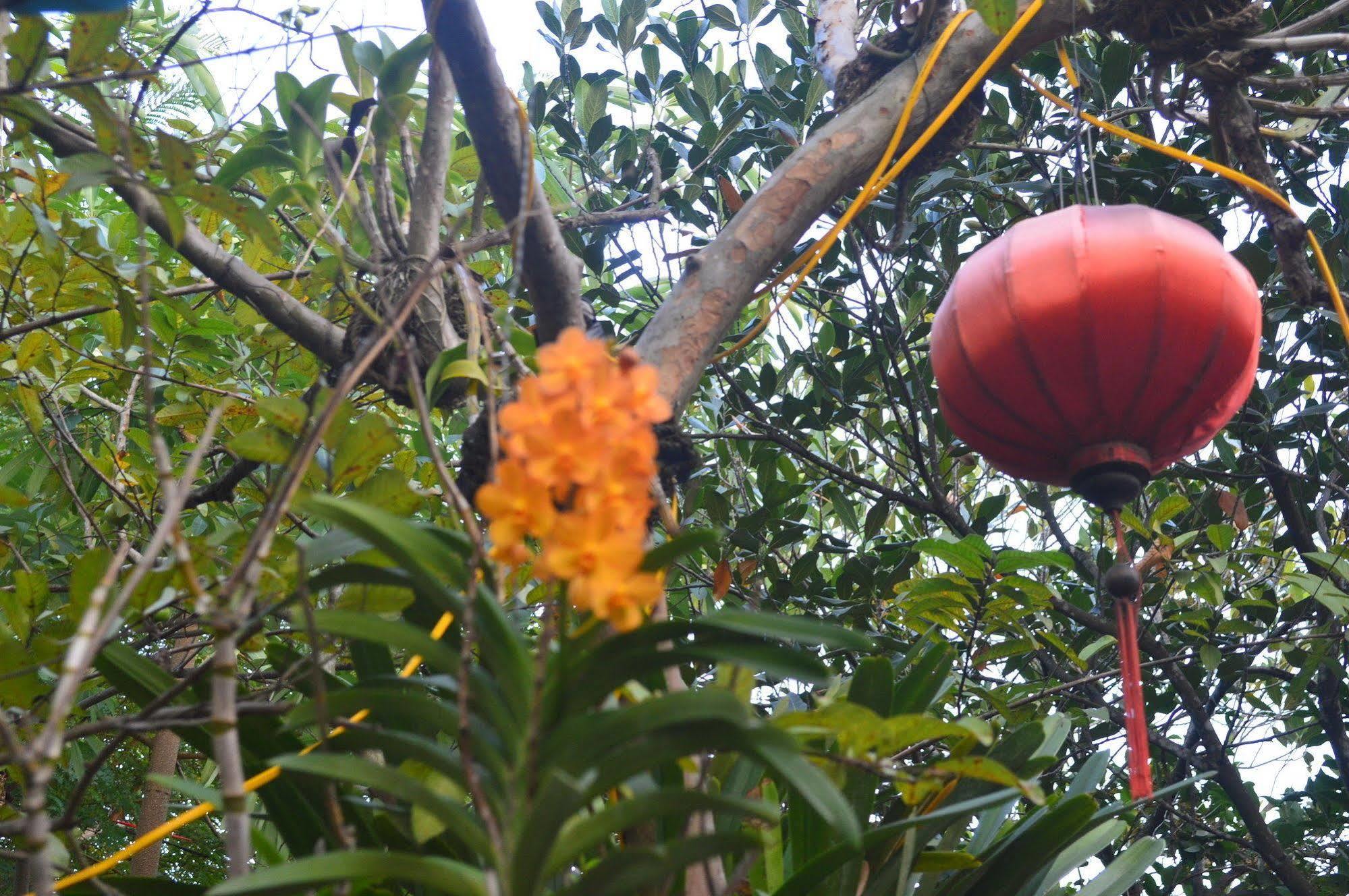 The Hoi An Orchid Garden Villas Exterior foto